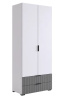 Зефир Шкаф двухдверный 120.01/белое дерево/серый (эмаль)
