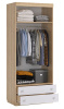Форсаж Шкаф комбинированный (с ящ. 2-створчатый) (дуб крафт золотой/белый)
