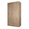Шкаф-купе Клэр 1200х597х2200 с ящ/дуб сонома-золото Шкаф-купе Клэр 1200х597х2200 с ящ/дуб сонома-золото