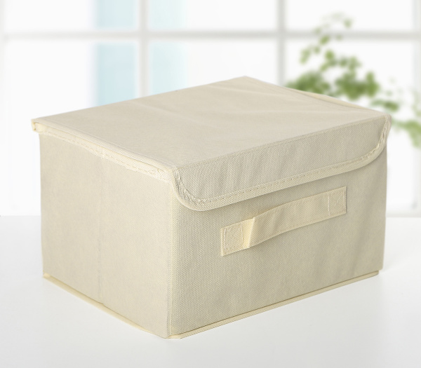 Короб для хранения с крышкой «Алва», 26×20×15 см,беж
